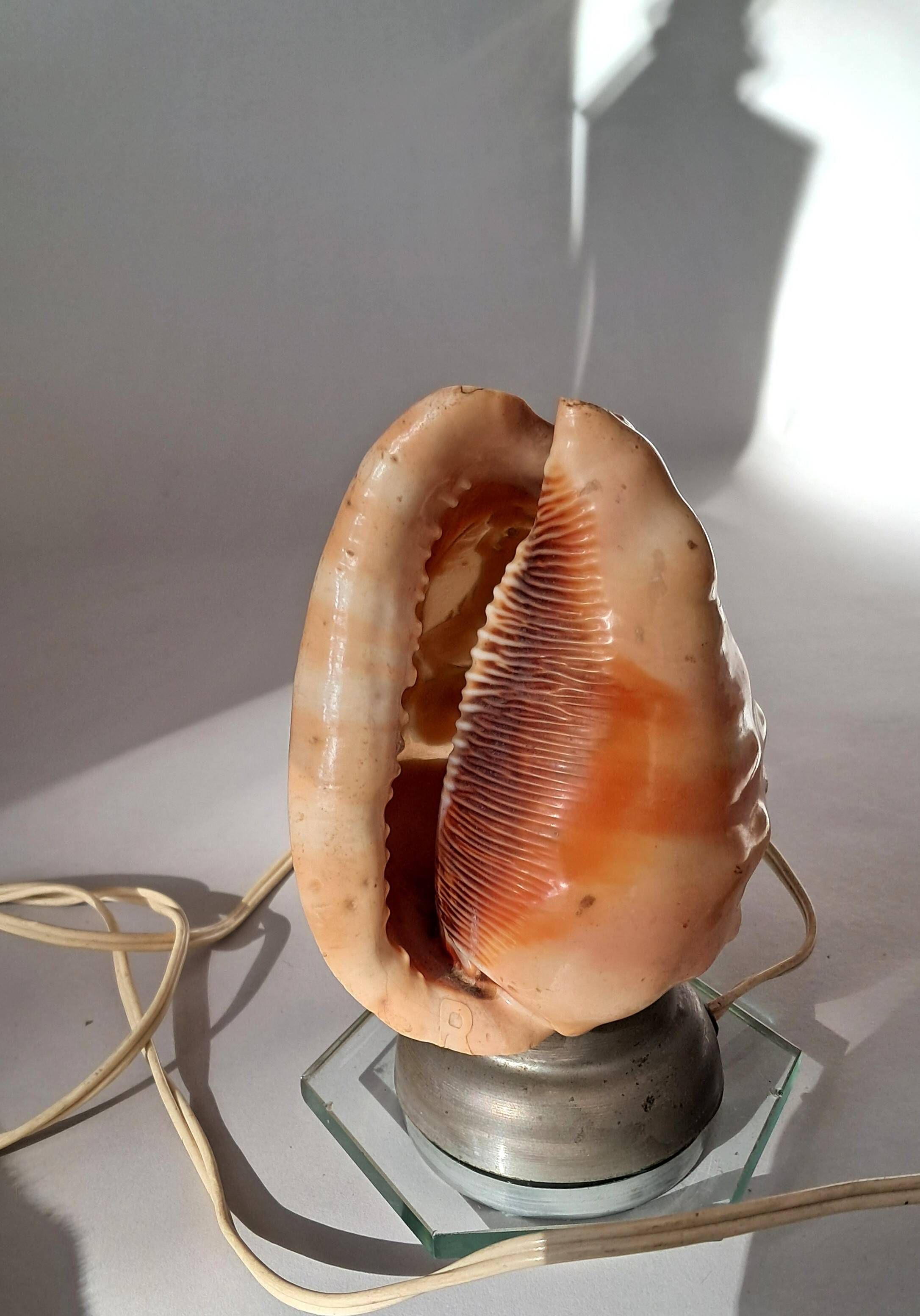 Old shell-shaped night lamp carved in cameo, Art Deco.