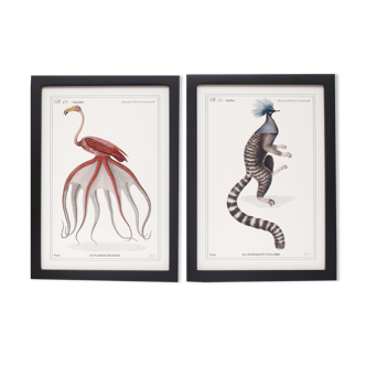 Set of 2 framed chimera lithography animal engraving