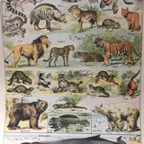 Lot de trois gravures aquarellées