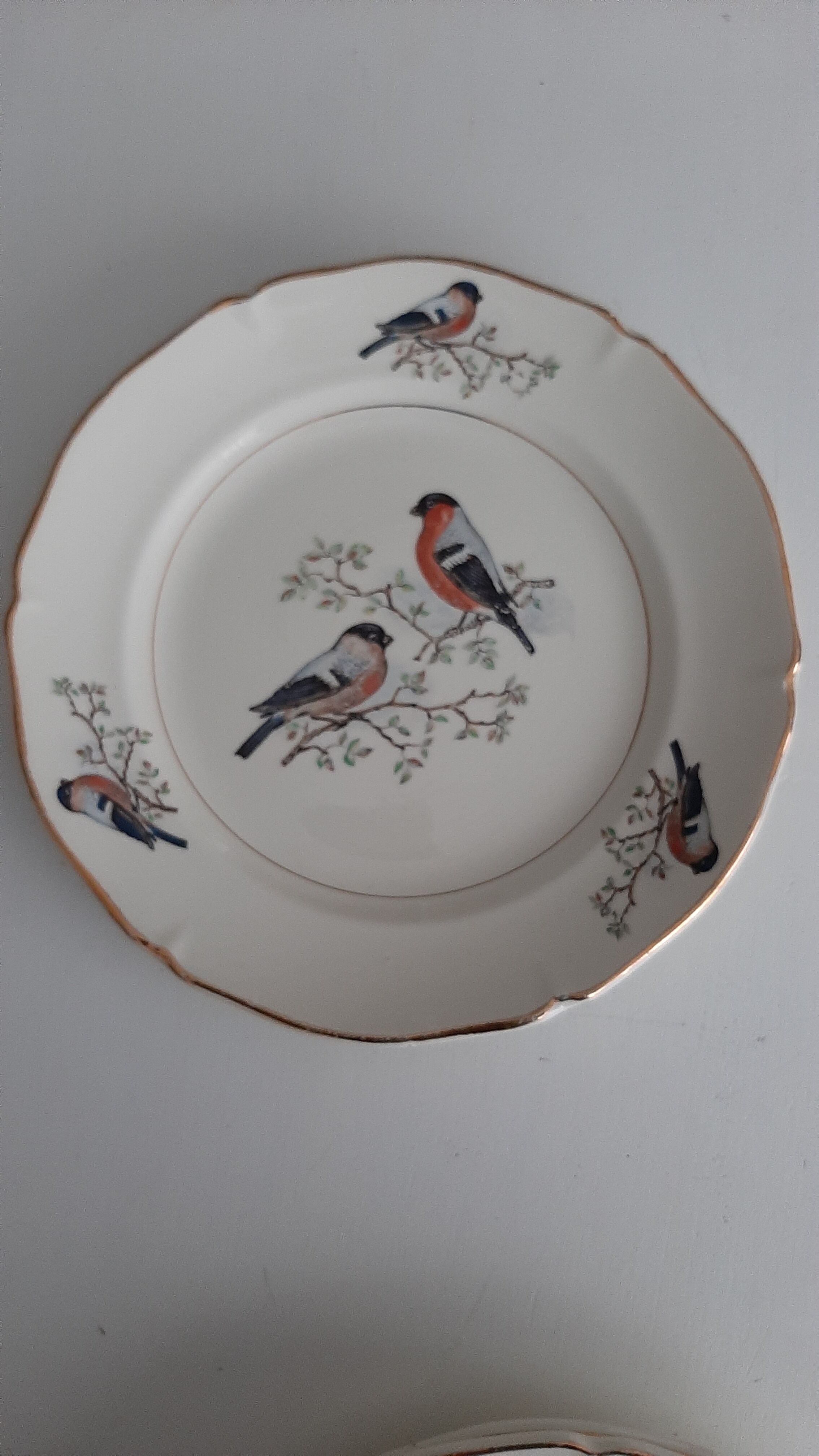 Lot plates St-Amand robin