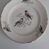 Lot plates St-Amand robin