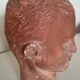 Head of young man of the 1950s