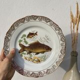 11 vintage Limoges porcelain fish plates