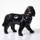 Vintage rum carafe Newfoundland Screech, Newfoundland dog in majolica.