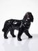 Vintage rum carafe Newfoundland Screech, Newfoundland dog in majolica.