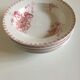 Soup plates of Sarreguemines, land of iron décor Vega, early 20th