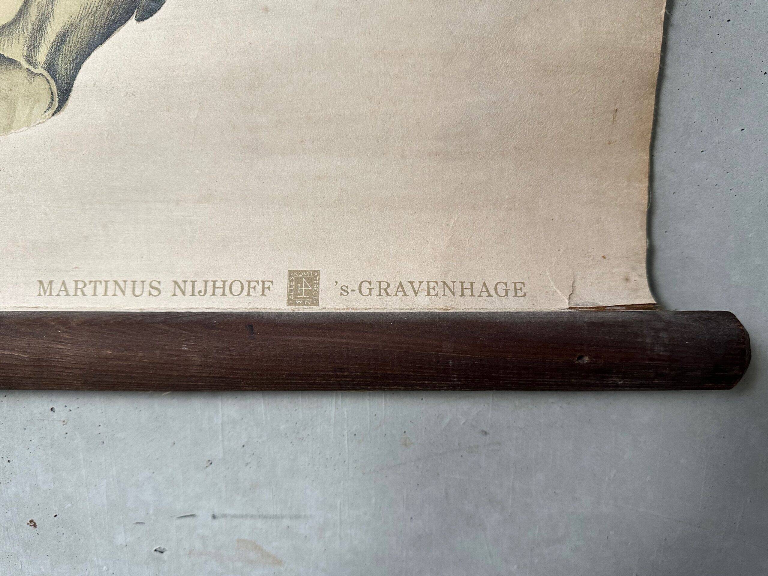 Vintage XL linen school chart – the lobster