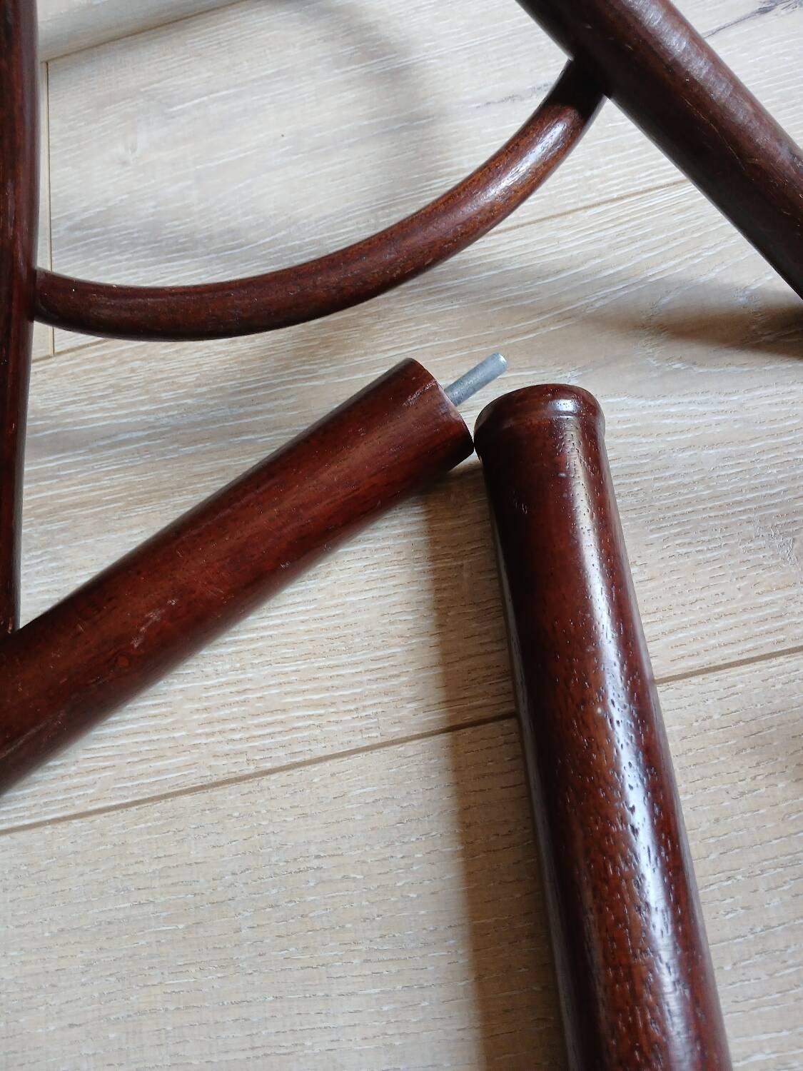 Porte manteau perroquet
