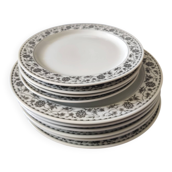 Lot de Lot de 6 assiettes plates et 4 assiettes dessert,en porcelaine