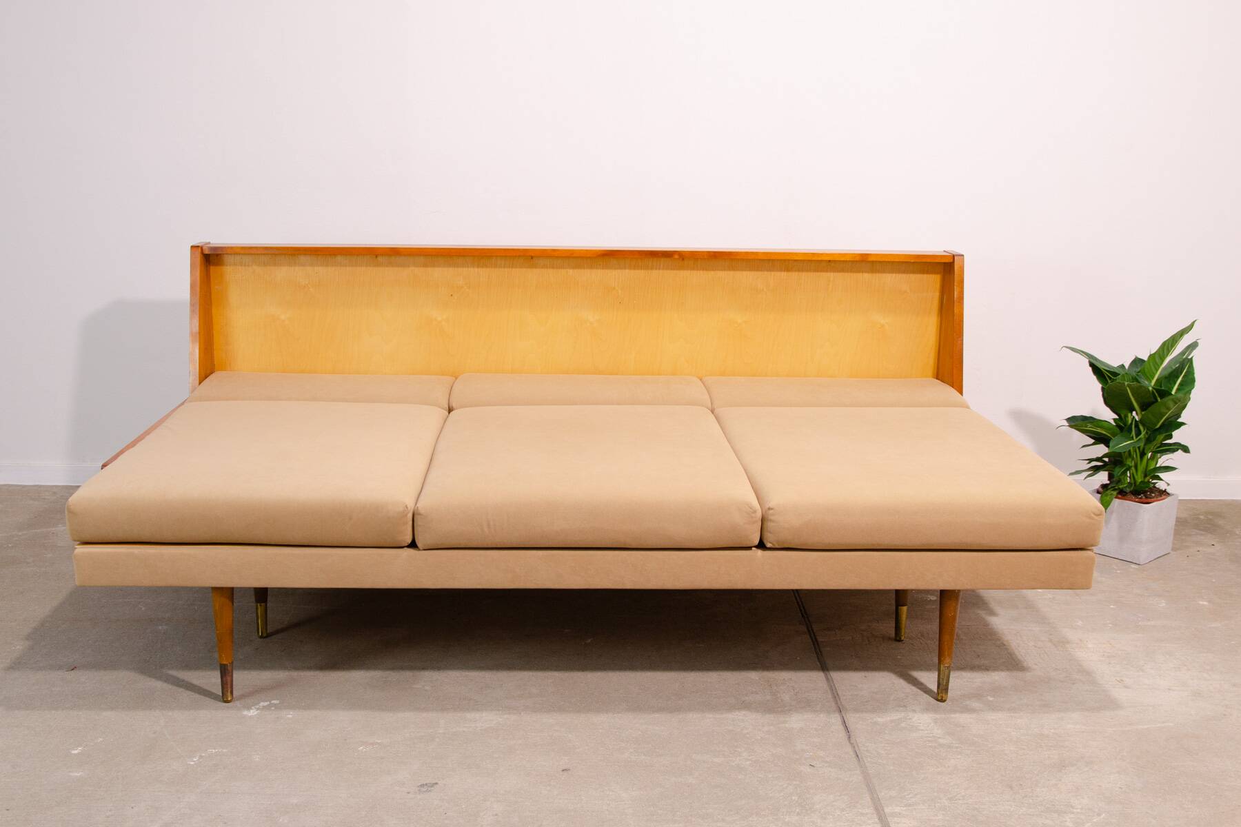 Canapé pliant de style scandinave du milieu du siècle par Sedláček & Vyčítal, 1960, Tchécoslovaquie