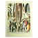 Antique lithograph 1928 A. Millot - Feathers, birds, wings, bird of paradise