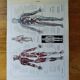 Original lithograph on Man