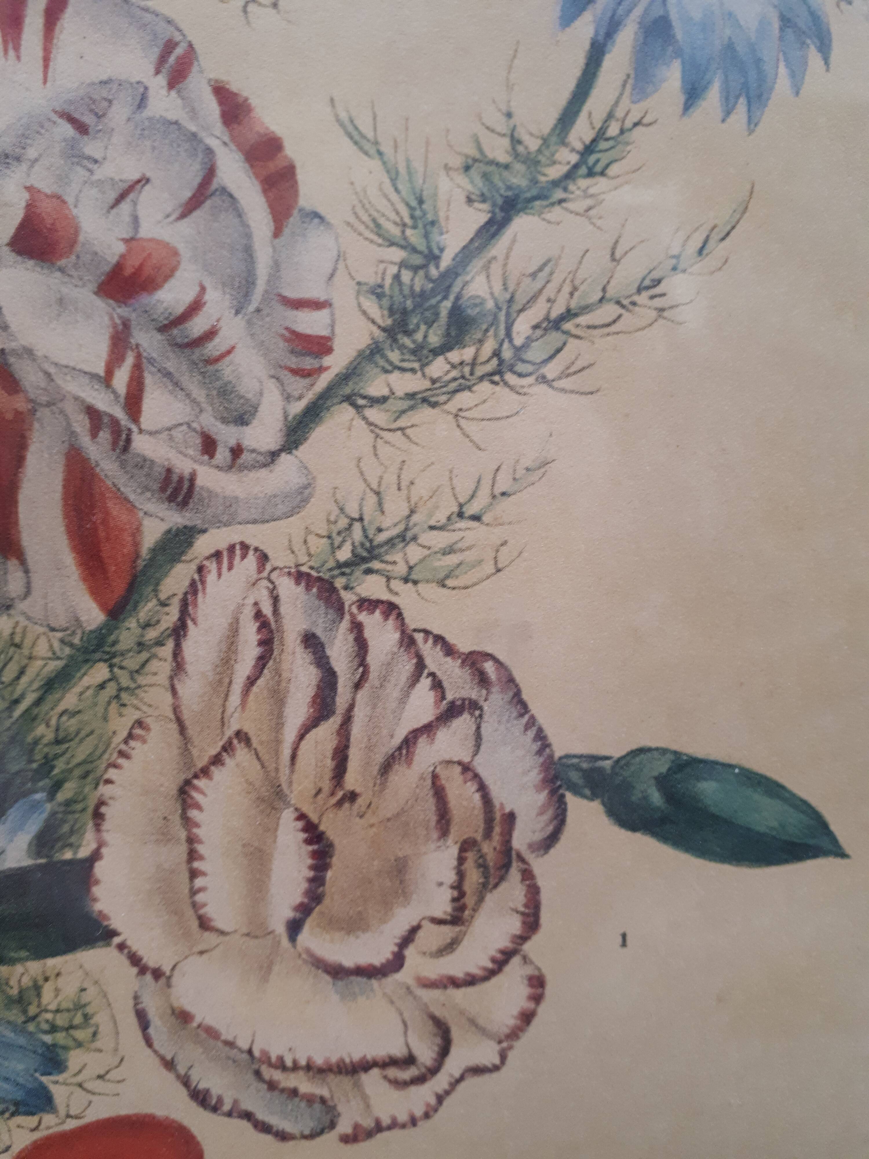 Poster ancient botanical flowers