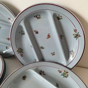 7 assiettes compartimentées Salins France