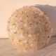 Murano Ceiling Light Gold and Traspare Flower by Seguso for Venini, Italy, 1960s