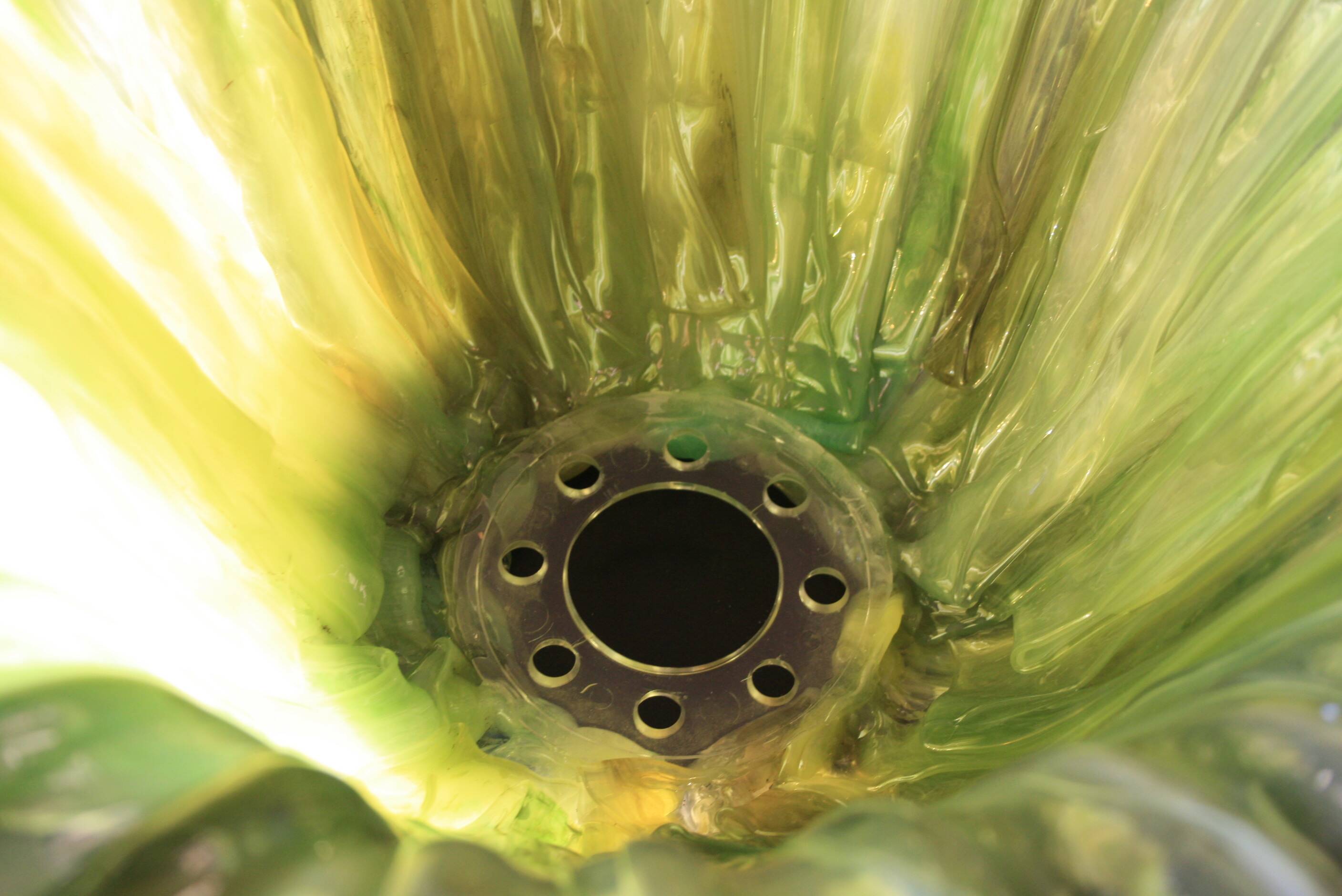 Green flower suspension