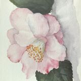 Signed and framed botanical watercolor