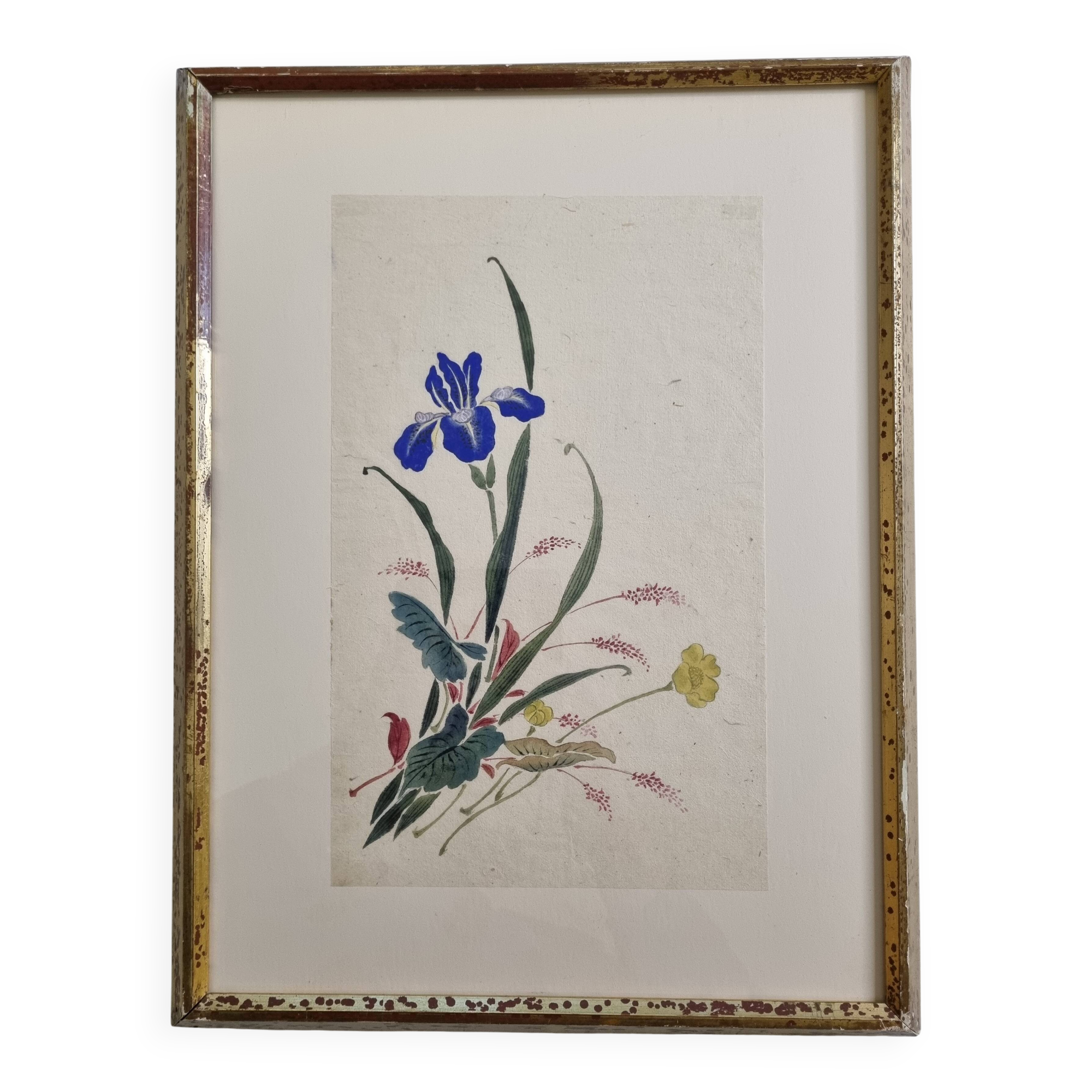 Ancient Japanese watercolour, Iris, Meiji era, around 1900, 33 × 43 cm