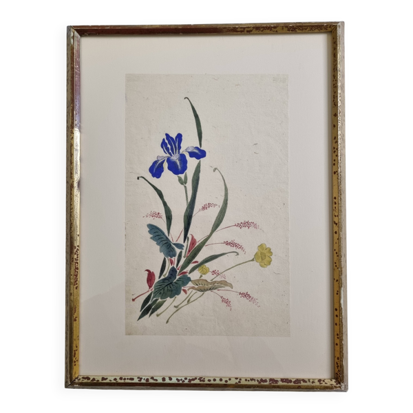 Aquarelle japonaise ancienne, Iris, ère Meiji, vers 1900, 33 × 43 cm