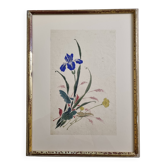 Aquarelle japonaise ancienne, Iris, ère Meiji, vers 1900, 33 × 43 cm