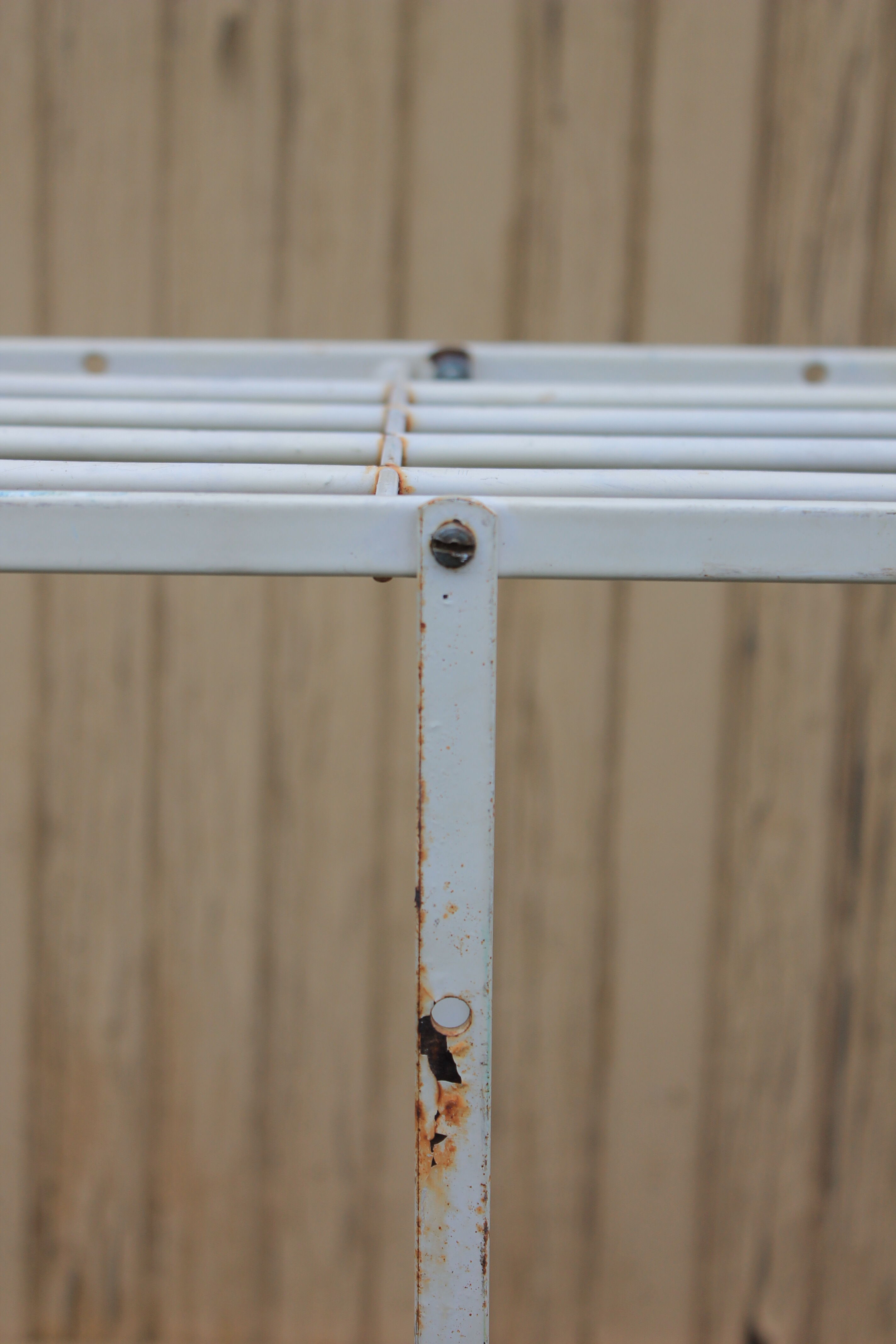 Florist gardener on stairs