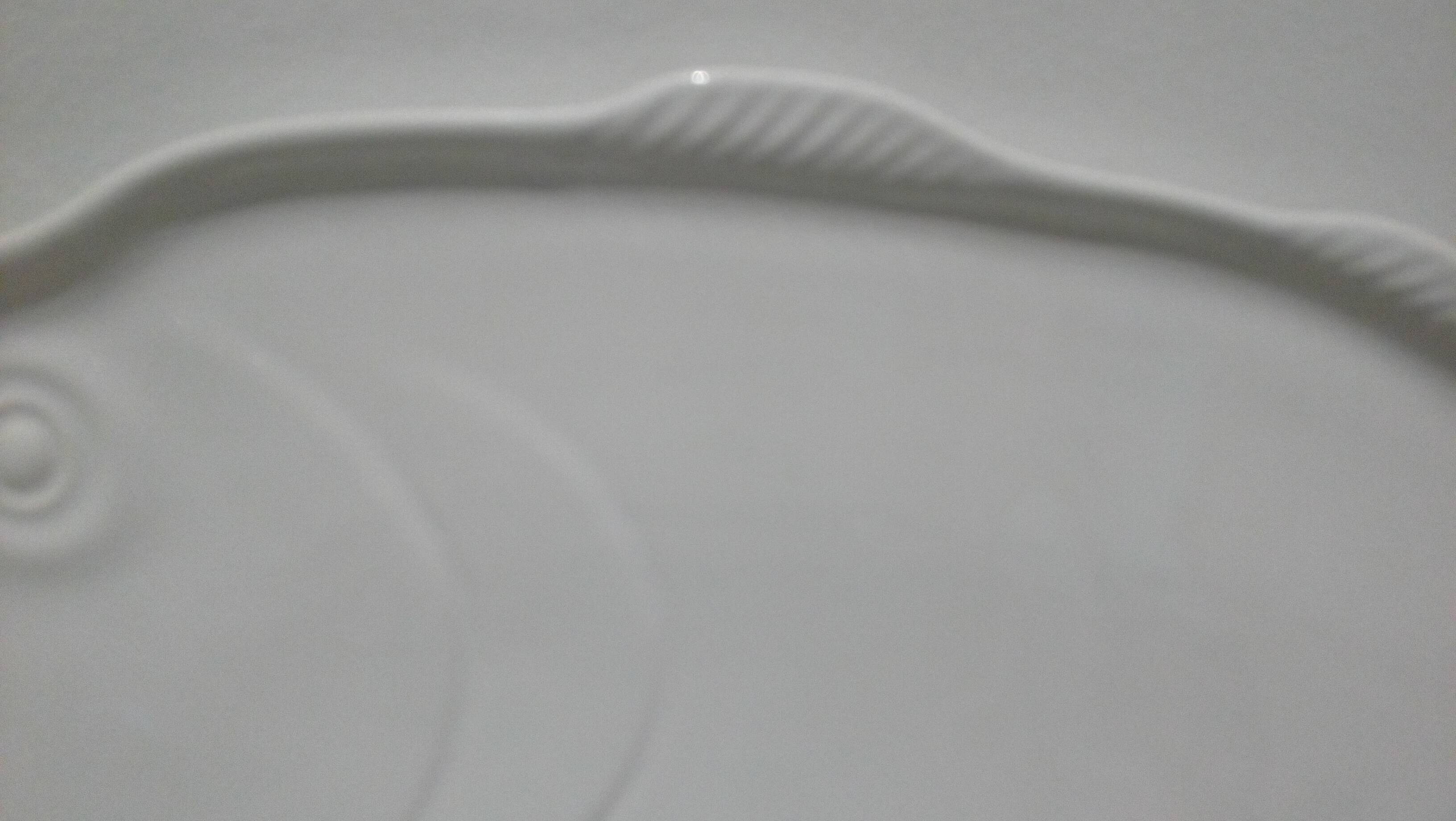 White porcelain fish dish
