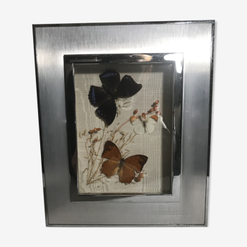 Tableau scène 2 papillons sous verre vintage