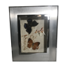 Table 2 butterflies under glass  vintage scene