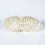 Large ancient white coral with lamellae, shark cushion 31 cm