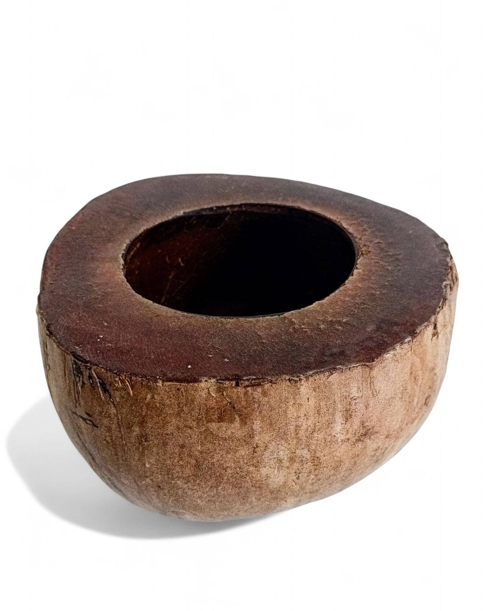 Centre de table Wabi Sabi moderne organique Coco de Mer, sculpté à la main, 19e siècle.