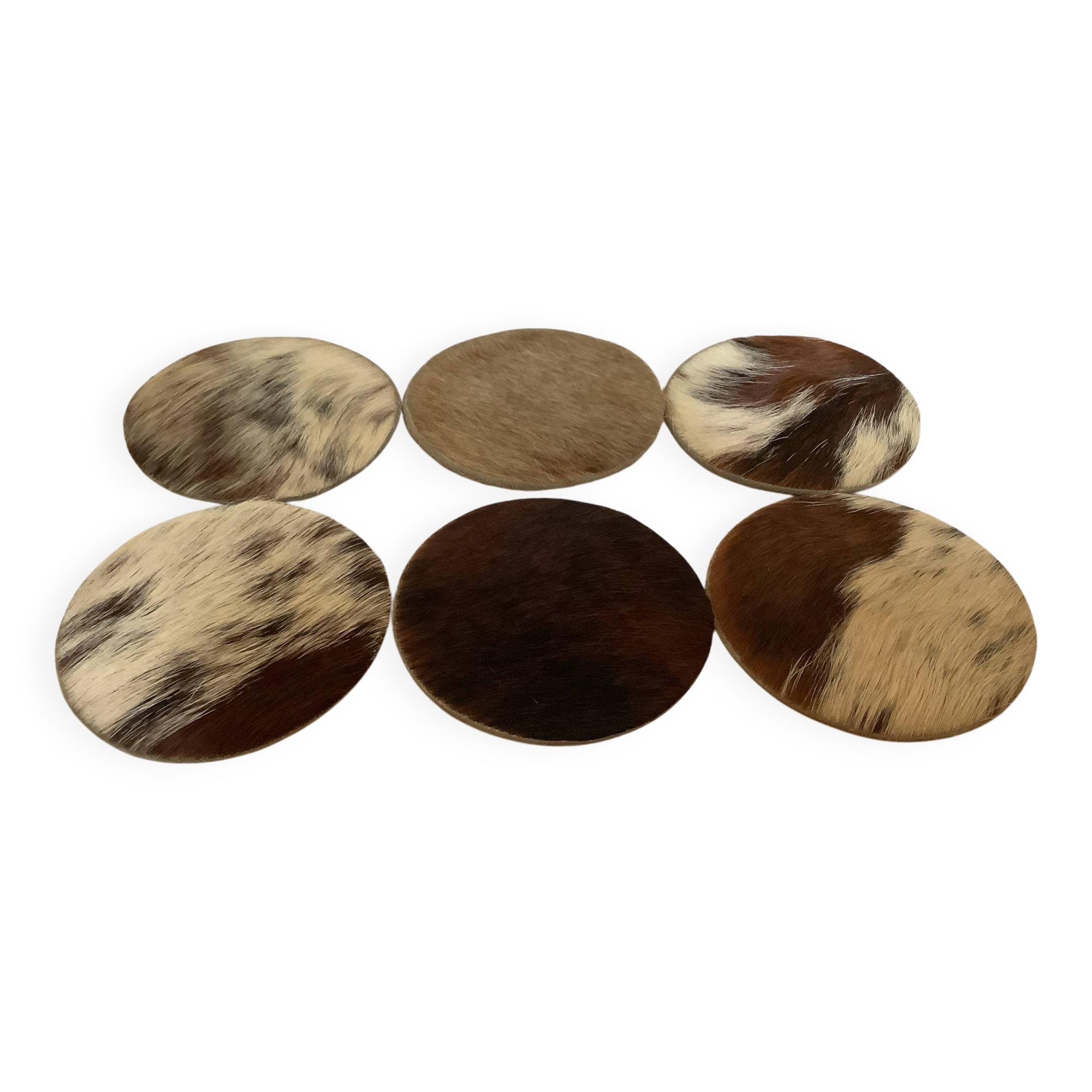 Six cow coasters