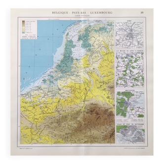 Vintage map of Netherlands Belgium Luxembourg 43x43cm from 1950