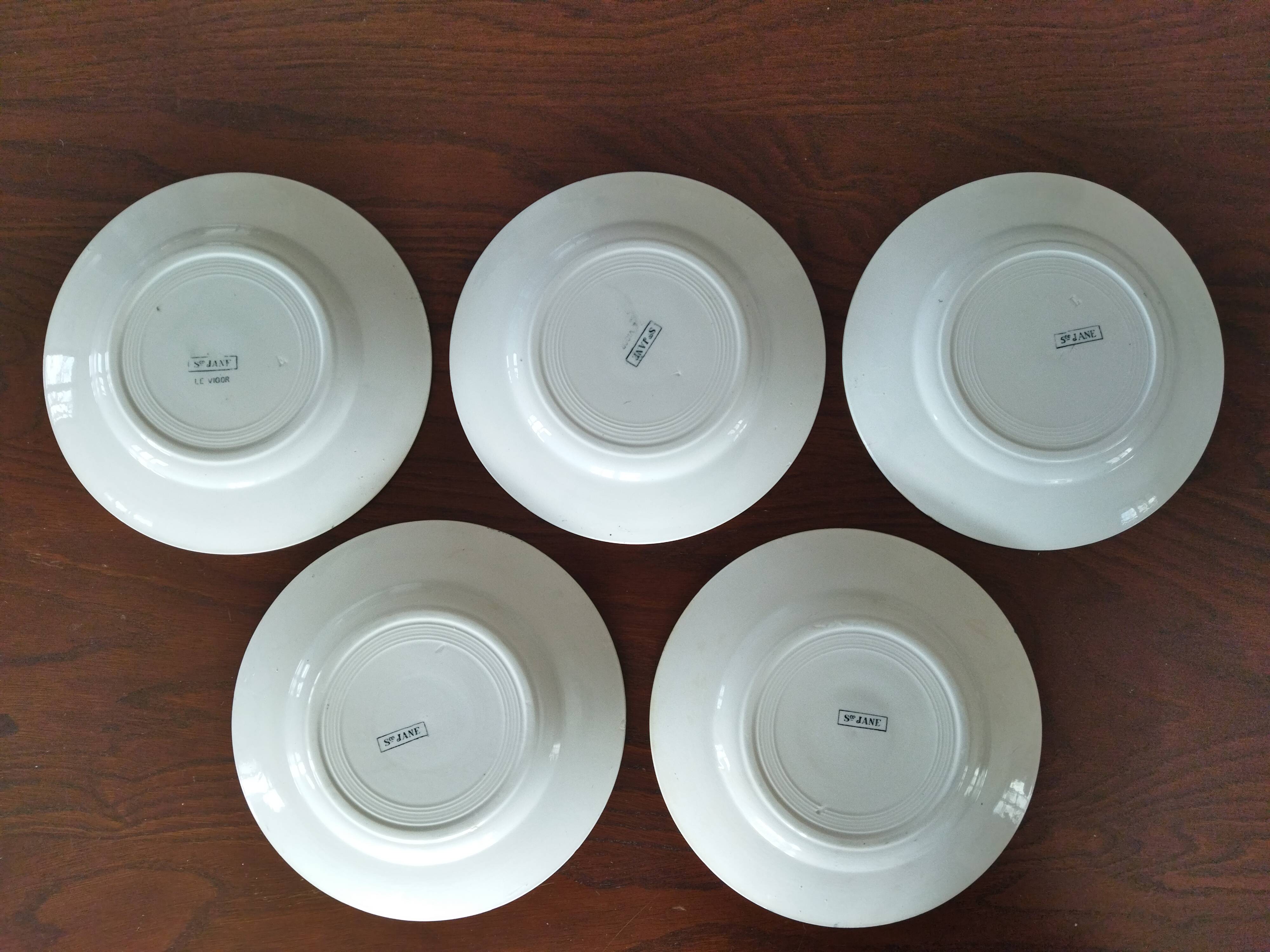 5 flat plates in St Amand "Jane" iron clay