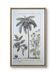 Printed in 1818, coconut tree, walnut and fennel. By Saint-Pierre.