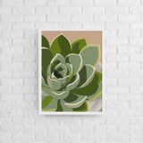 Illustration "Succulent #3" by Noums Atelier