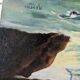 Marine painting: coast and seagulls