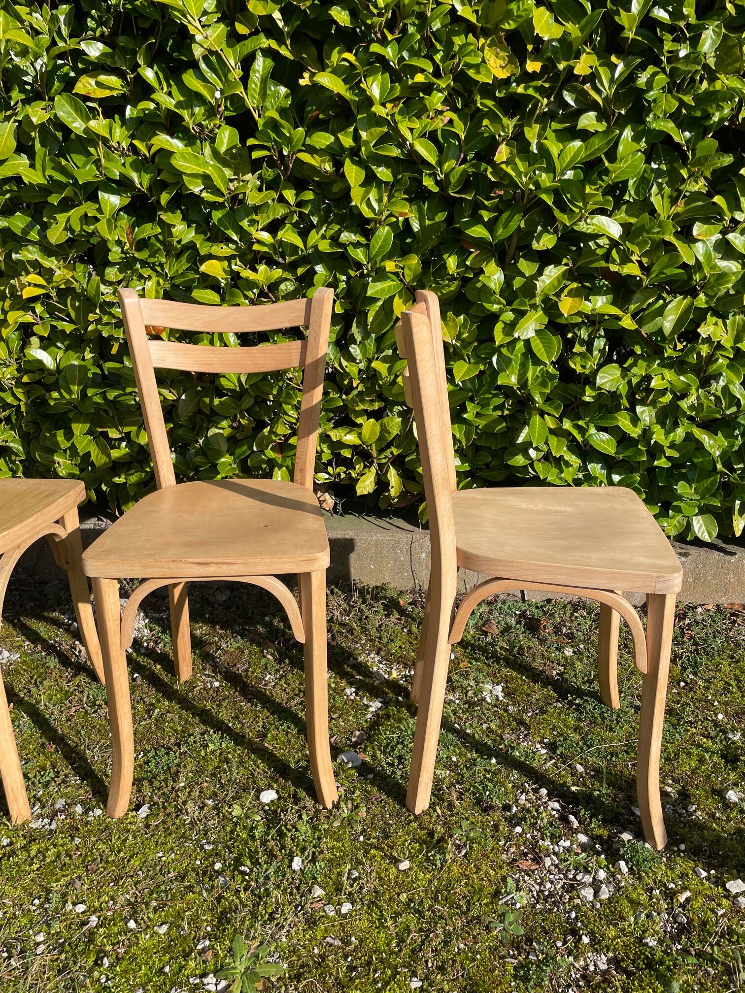 Set of 4 bistro chairs Baumann matt colorless varnish
