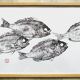 Framed art print, "Print of a school of bream" (gyotaku)