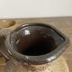 Pitcher west germany