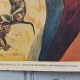Poster about the stadium at the zoo