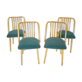 1960s Antonin Suman Set of Four Dining Chairs, Czechoslovakia
