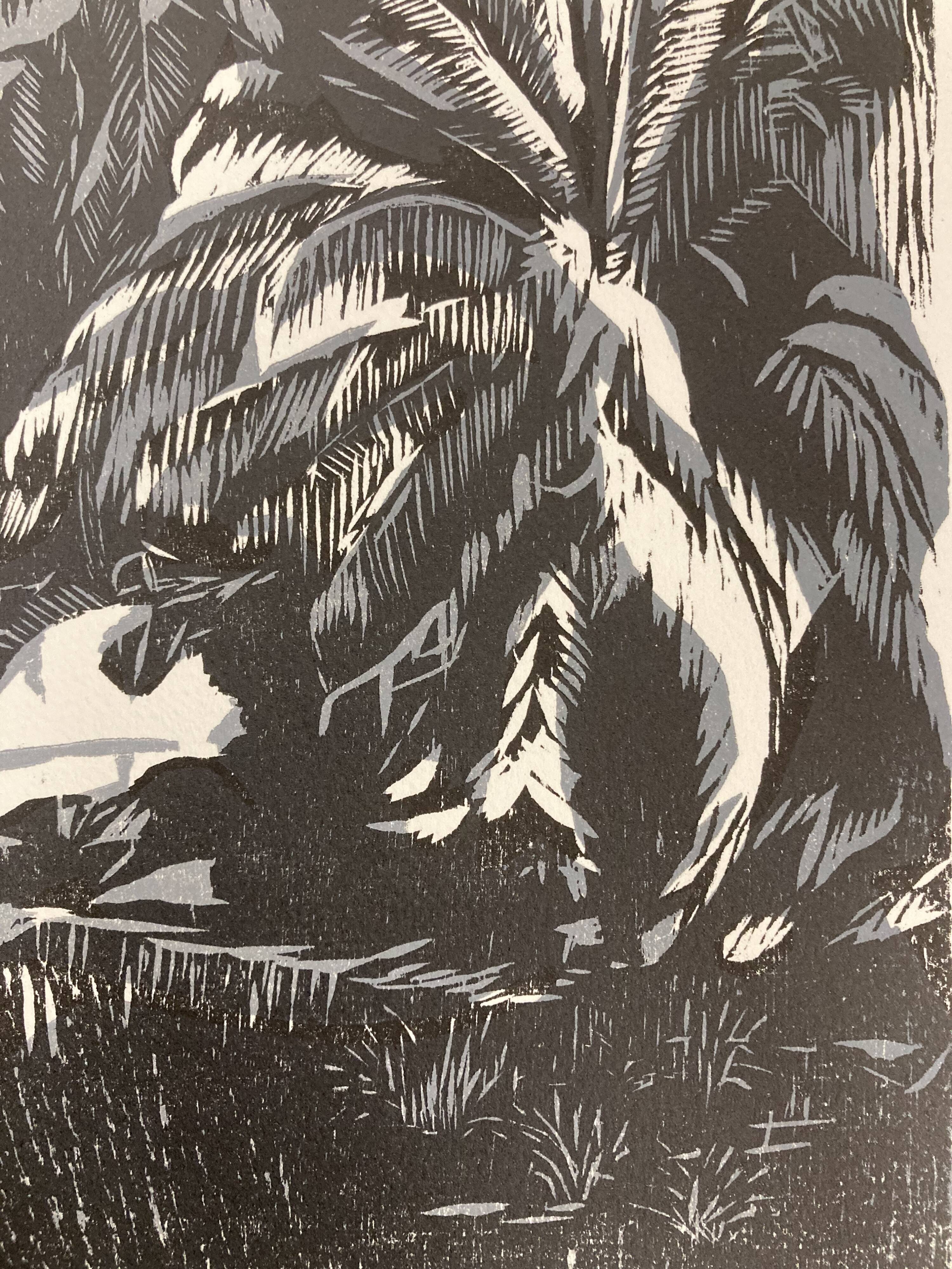 Illustration Le Bois des Cocotiers