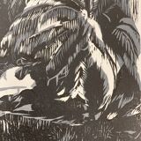 Illustration Le Bois des Cocotiers