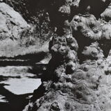 Anonymous silver photo tree circa 1970