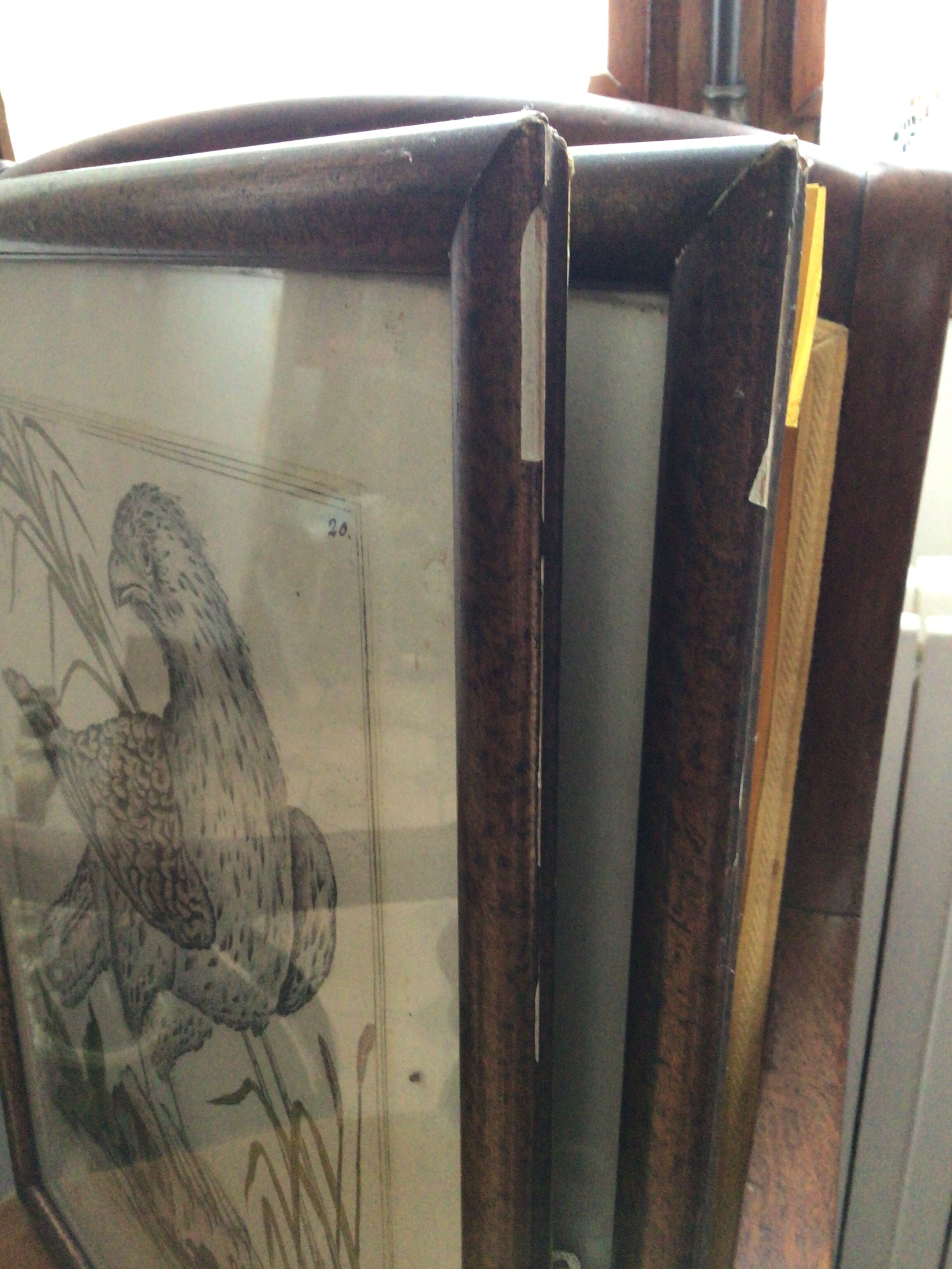 Ancient engraving birds