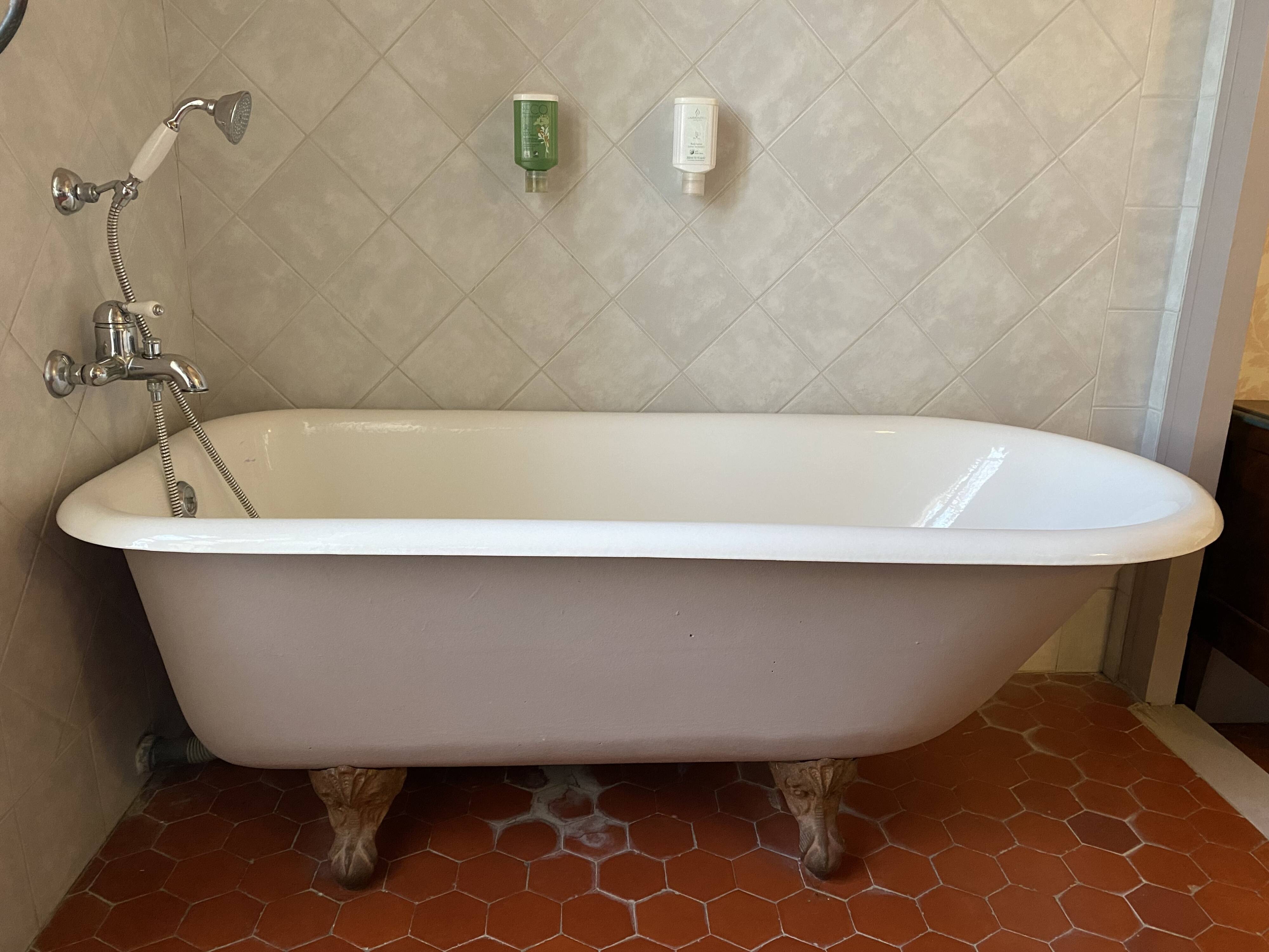 lion paw bathtub