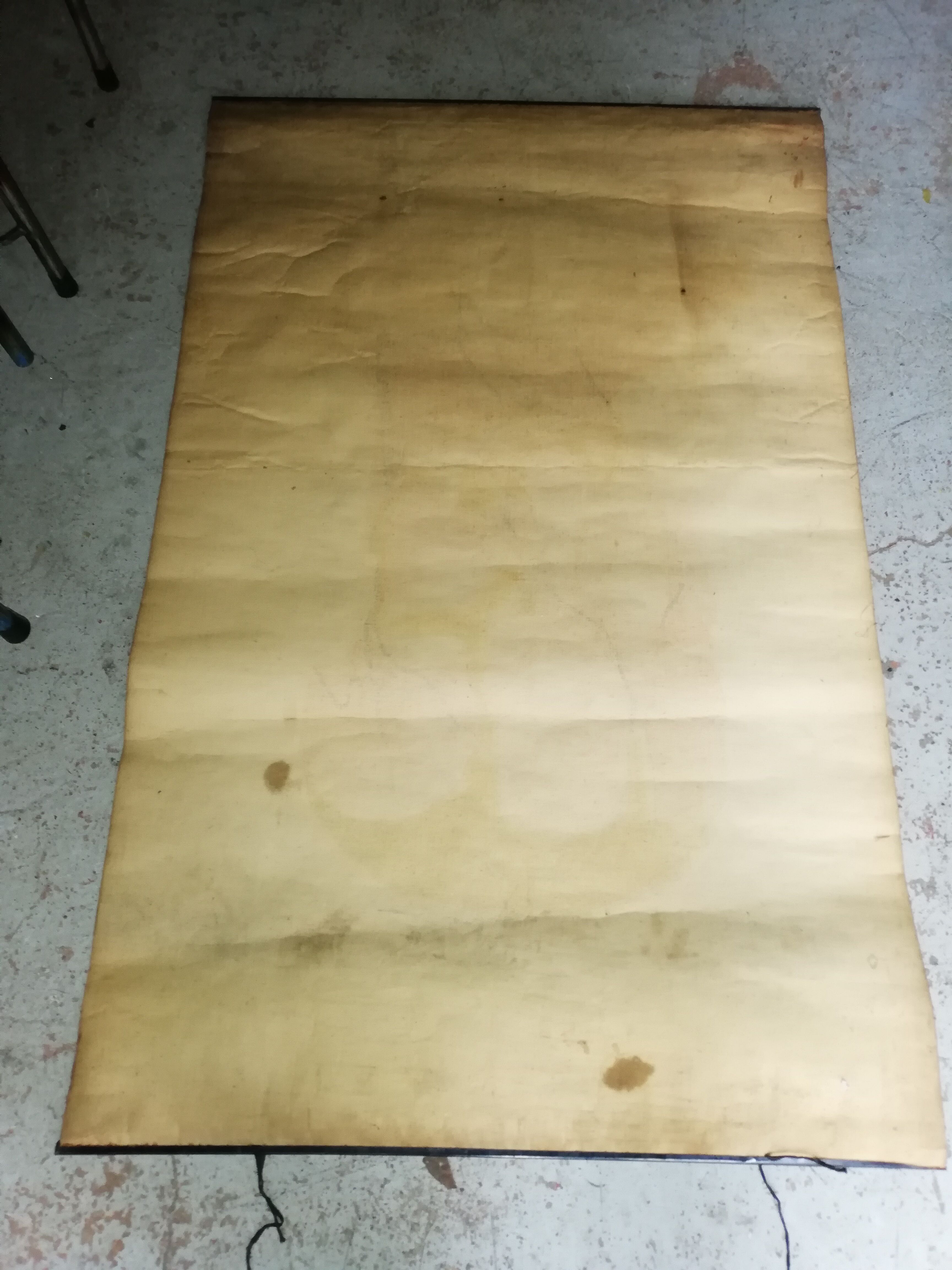 Affiche ancienne "planche anatomique"