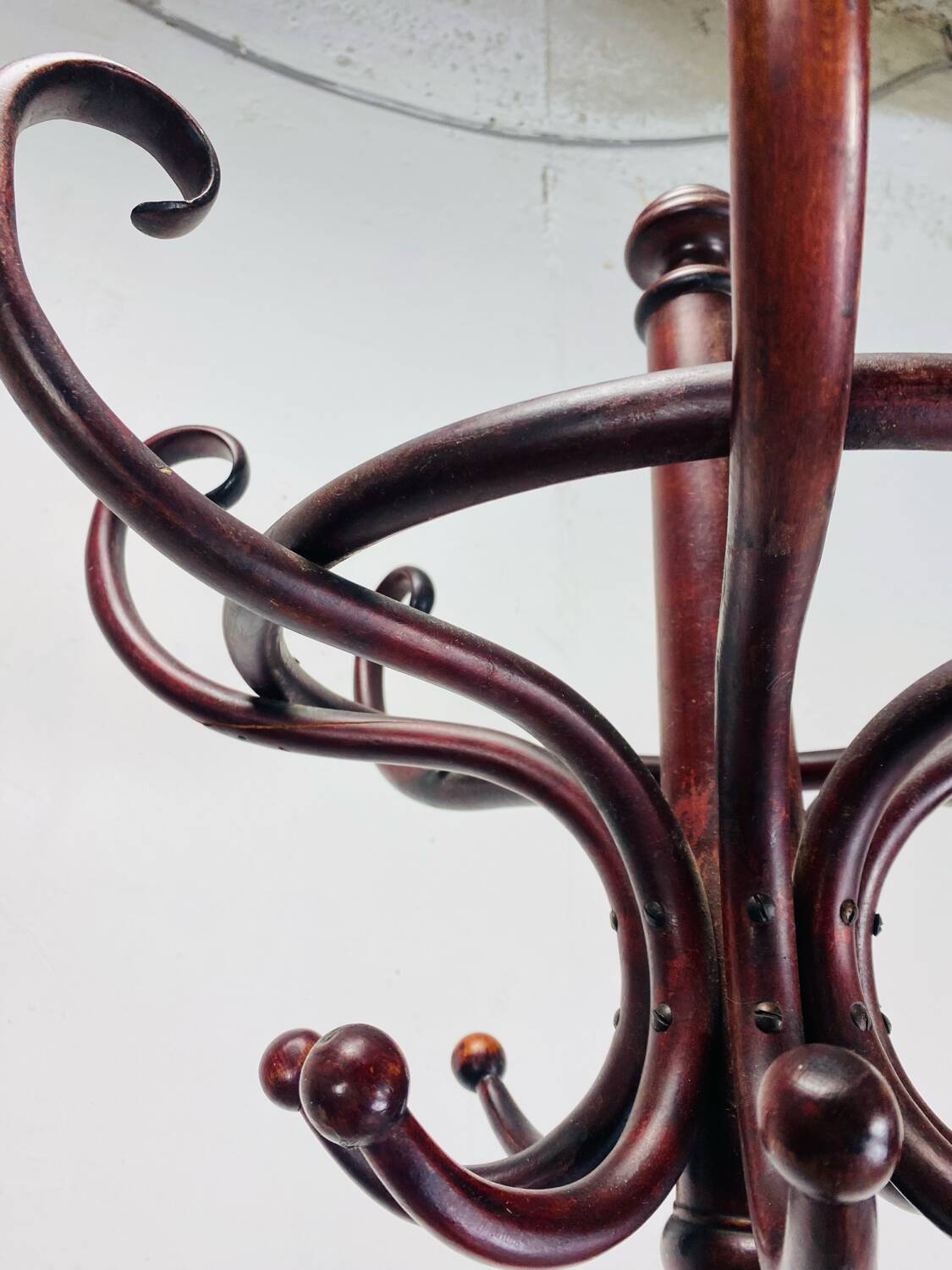 Portemanteau perroquet