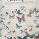 TABLEAU Display BUTTERFLY Italy