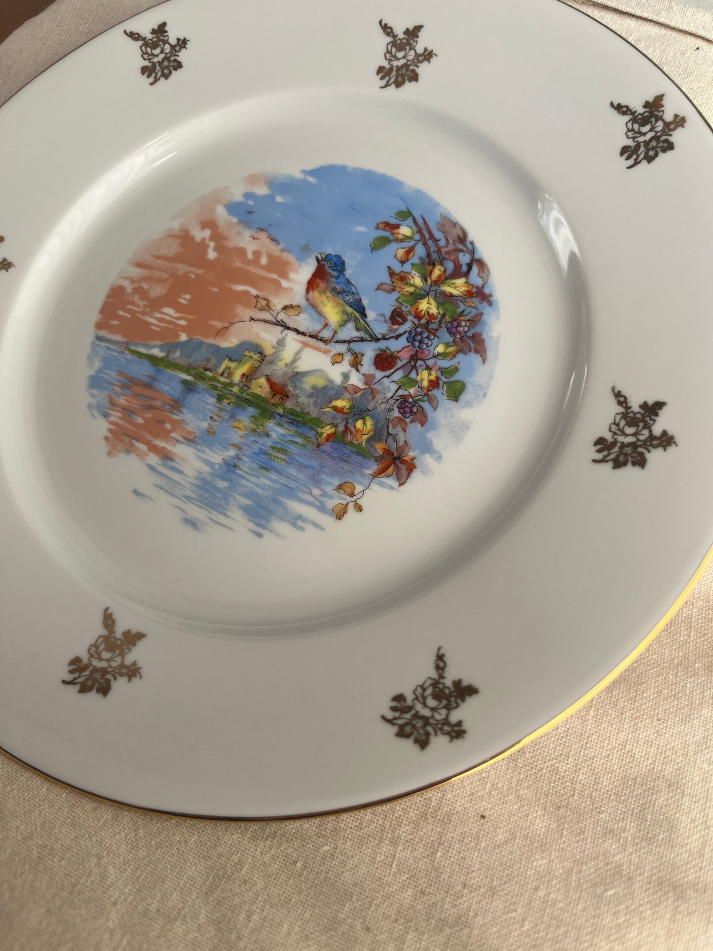 Antique Limoges porcelain plate – bird decoration – 25 cm